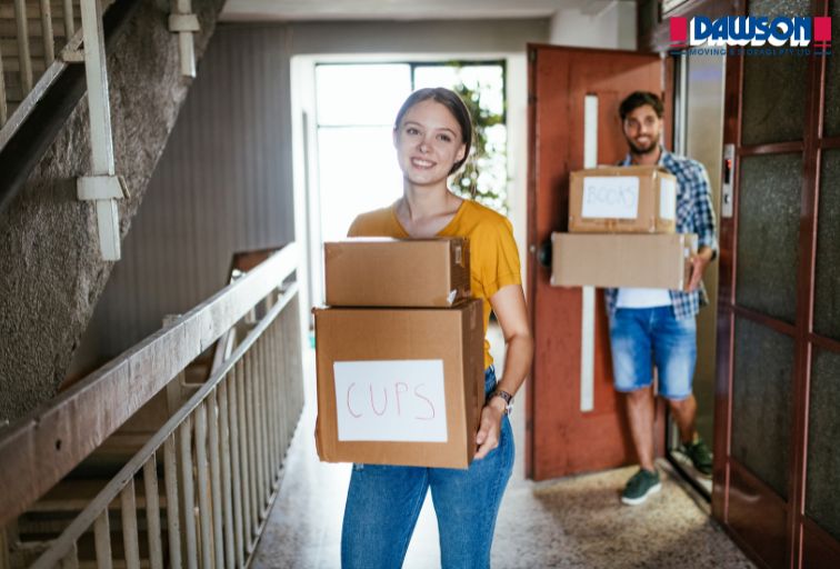 Removalist Malvern
