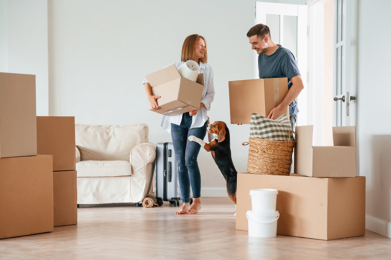 international removals