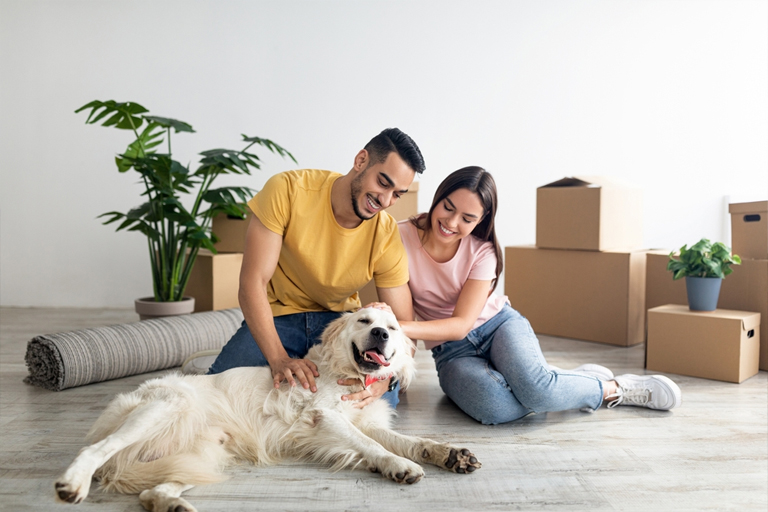 canberra removalists
