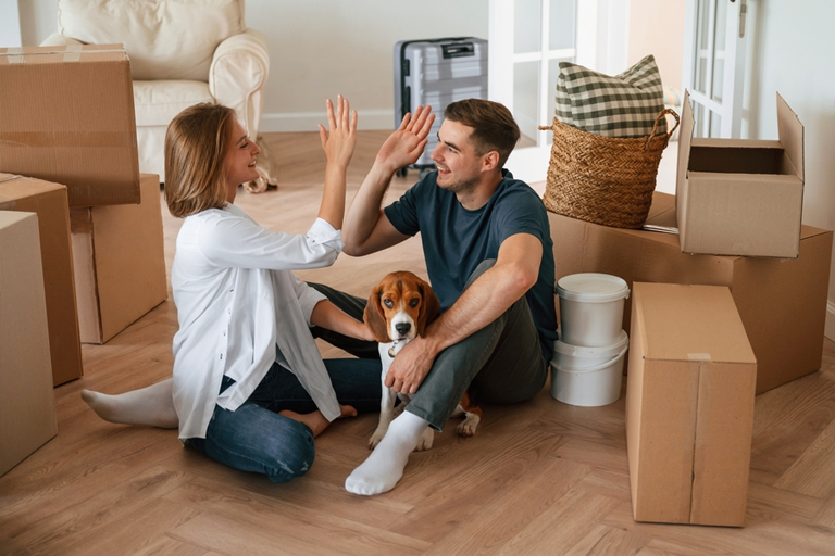 interstate removalists