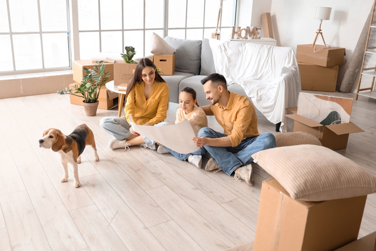 removalists canberra