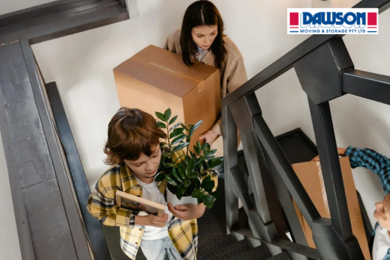 expert removalists melbourne
