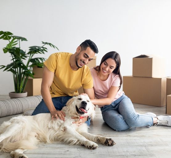 canberra-removalists